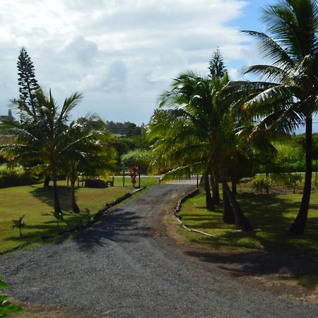 God'S Peace Of Maui Bed and Breakfast Makawao Rum bild