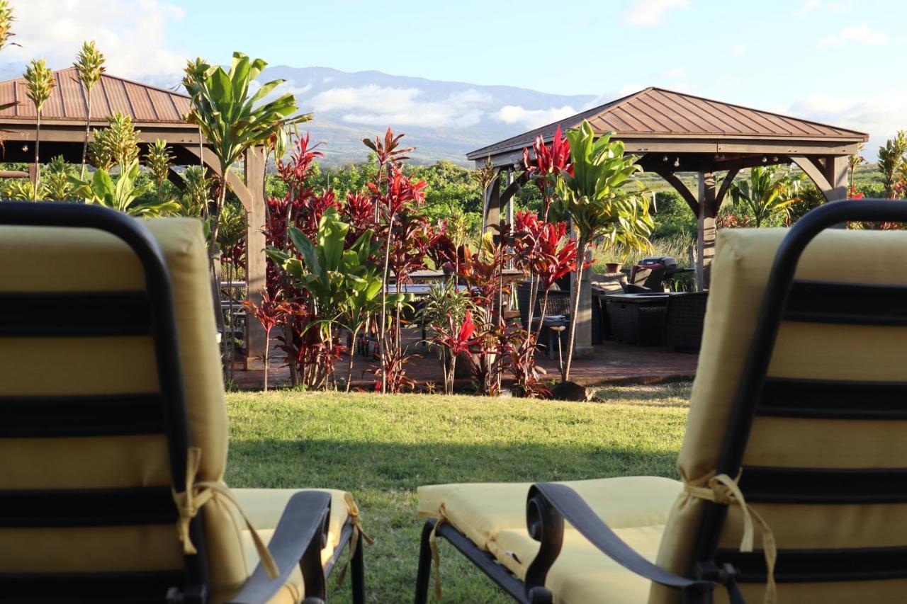 God'S Peace Of Maui Bed and Breakfast Makawao Exteriör bild
