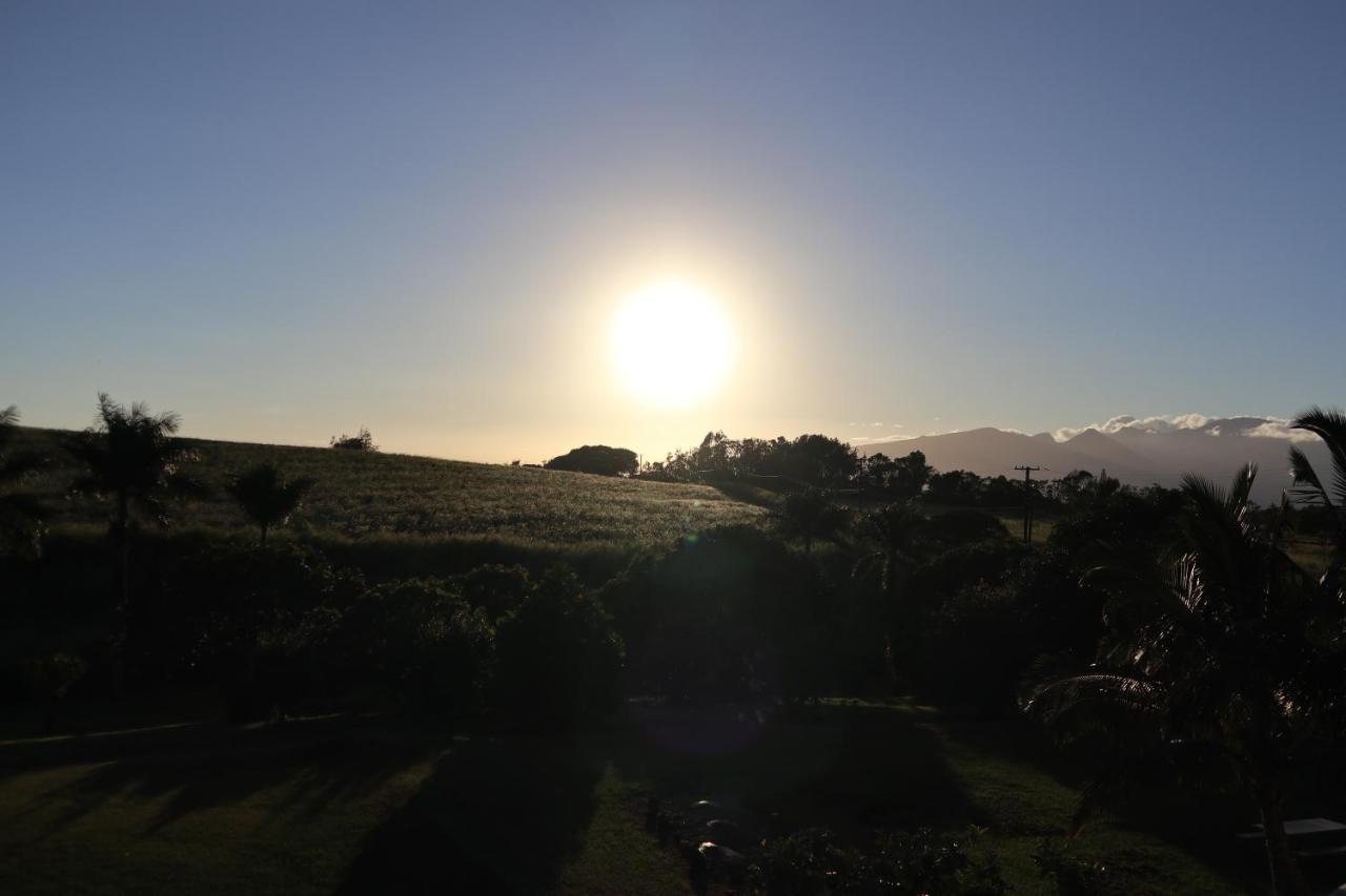 God'S Peace Of Maui Bed and Breakfast Makawao Exteriör bild