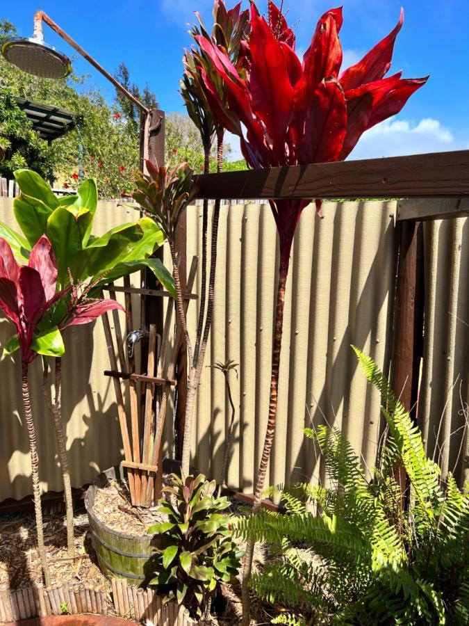 God'S Peace Of Maui Bed and Breakfast Makawao Exteriör bild