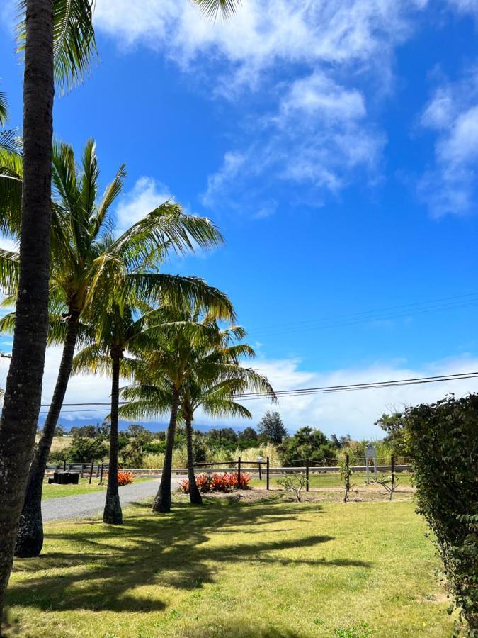 God'S Peace Of Maui Bed and Breakfast Makawao Exteriör bild