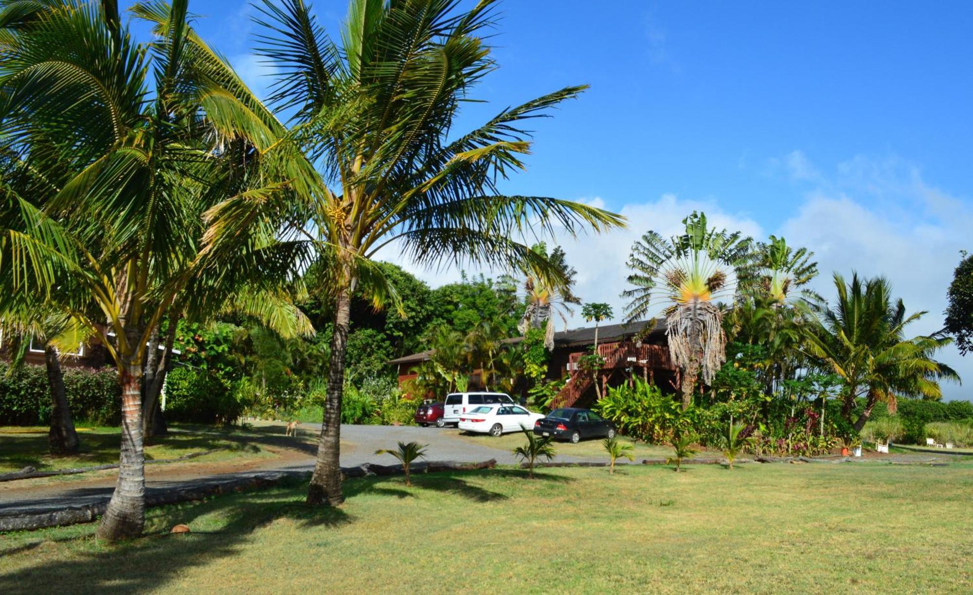 God'S Peace Of Maui Bed and Breakfast Makawao Rum bild