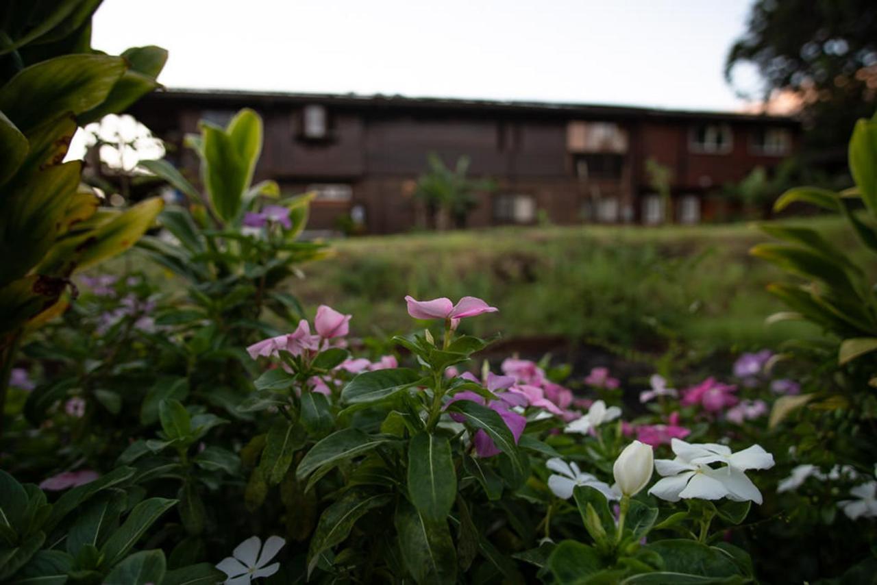 God'S Peace Of Maui Bed and Breakfast Makawao Exteriör bild