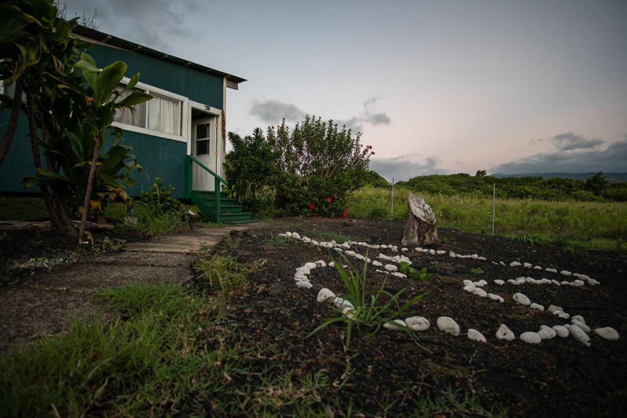God'S Peace Of Maui Bed and Breakfast Makawao Exteriör bild