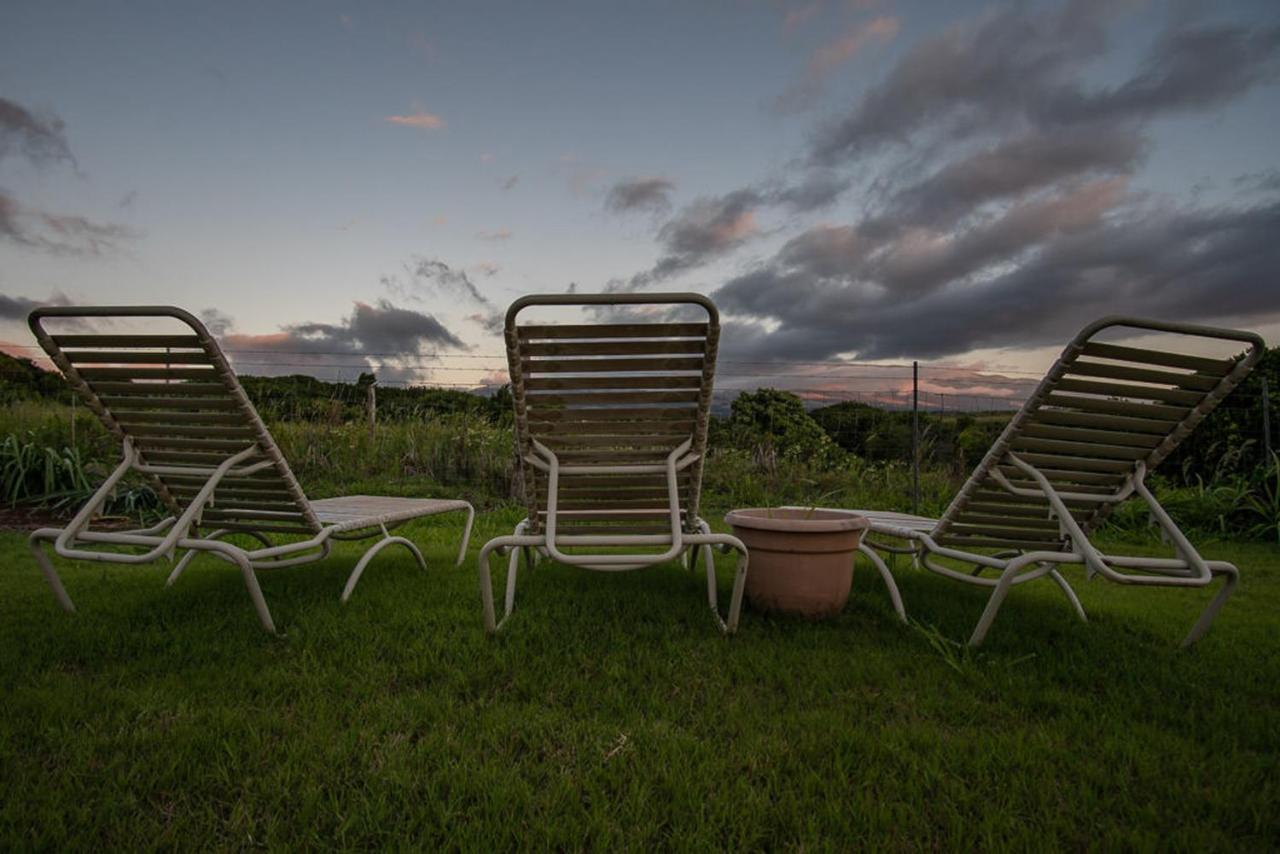 God'S Peace Of Maui Bed and Breakfast Makawao Exteriör bild