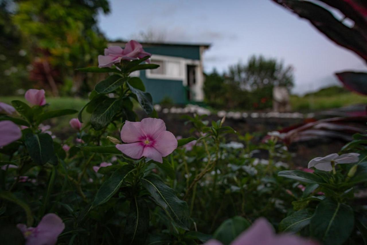God'S Peace Of Maui Bed and Breakfast Makawao Exteriör bild