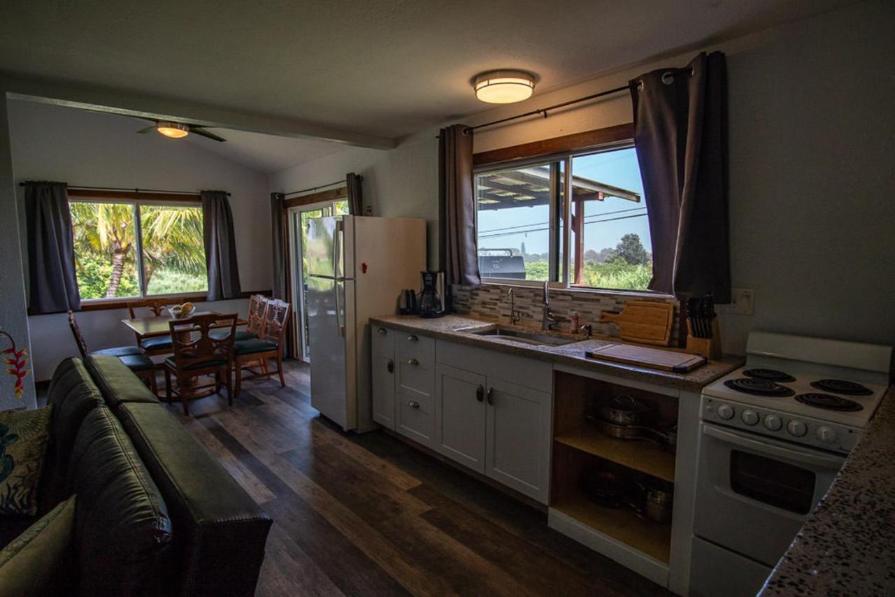 God'S Peace Of Maui Bed and Breakfast Makawao Exteriör bild