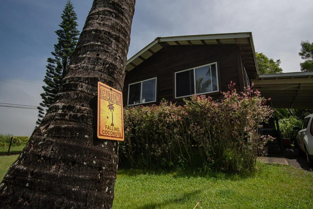 God'S Peace Of Maui Bed and Breakfast Makawao Exteriör bild